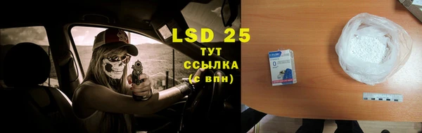 ПСИЛОЦИБИНОВЫЕ ГРИБЫ Кулебаки