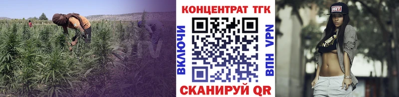 ТГК концентрат  закладка  Вичуга 
