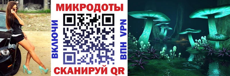 где купить наркоту это клад Галлюциногенные грибы прущие грибы Вичуга